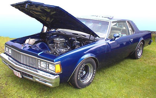 Illustration for article titled TIL Chevrolet Built A Caprice Coupe